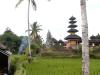 Temples  balinais dans les rizières.