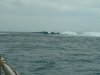 Les rouleaux sur les bords de la passe PaiPai,  Tahaa