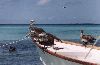 Los Roques.  Les forteresses volantes et plongeantes...